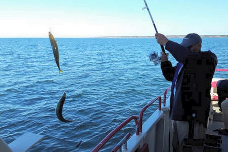 Pêche en mer Nantes Saint Nazaire