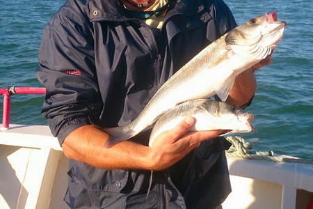 Sorties peche baie de Bourgneuf