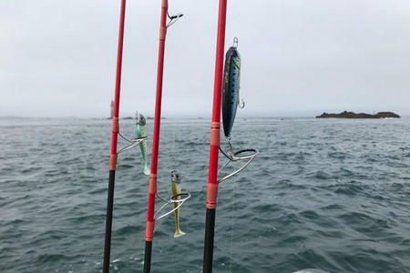 Pecher poissons depart Saint Malo