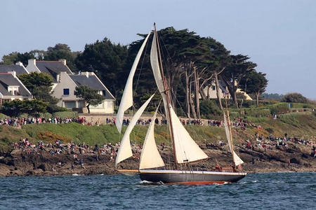 Sorties vieux gréement Morbihan 56