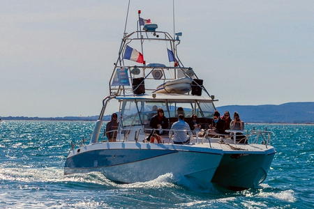 Catamaran moteur