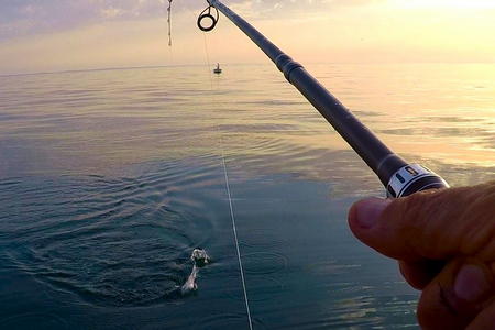 Sortie pêche mer Carnon