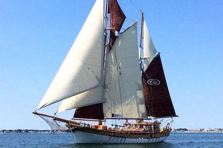 Sorties vieux gréement Morbihan 56