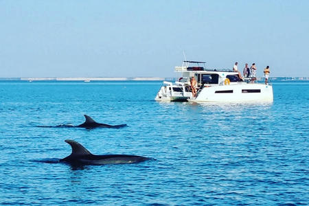 Sorties catamaran Saint Martin Ré