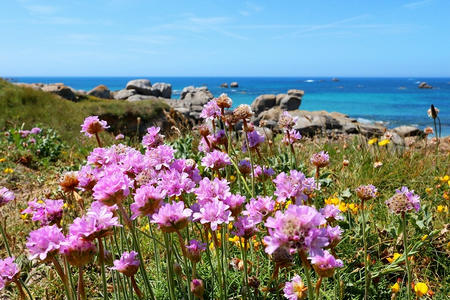 Stage croisière FFVoile Quiberon