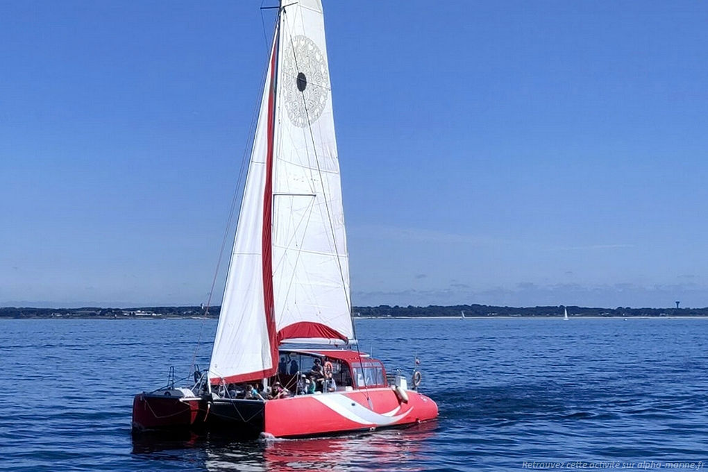Liaison vers Groix Catamaran à Lorient