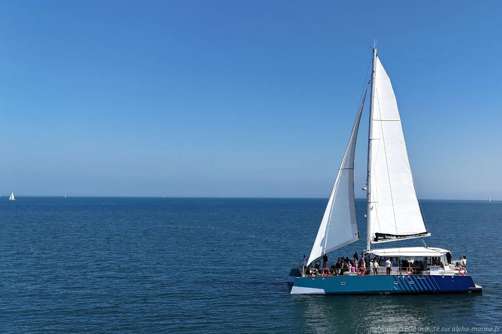 Catamaran day charter Sauzon, Belle Ile - 56