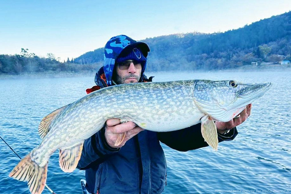 Pêcher le carnassier Pêche sur le Lac de St Cassien