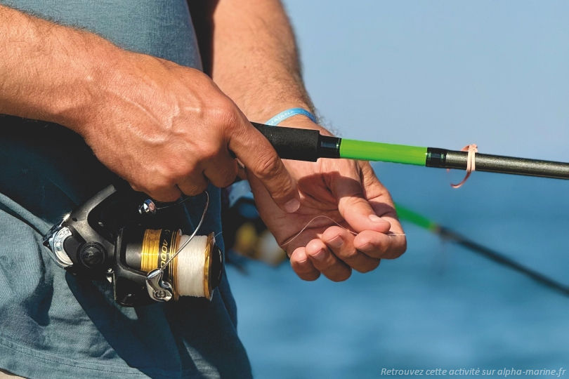 Pêche Port Camargue Matinée pêche en mer